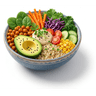 Vegan / Diyet